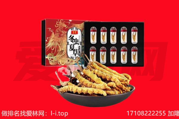 绥化市青冈回收虫草.jpg